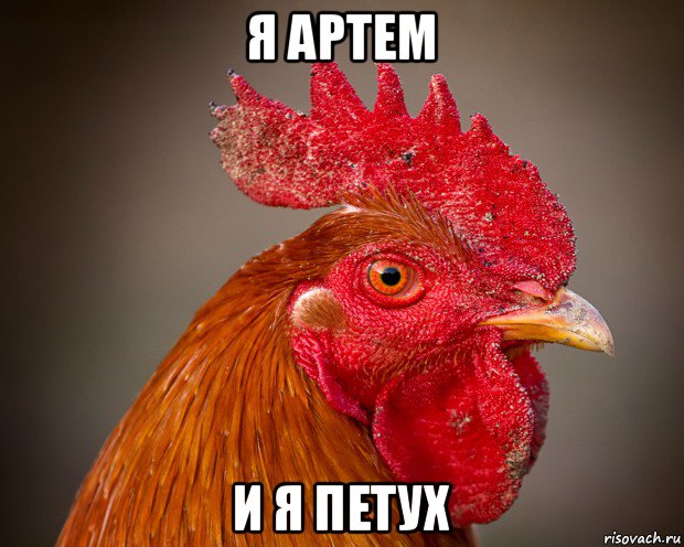 я артем и я петух, Мем петух