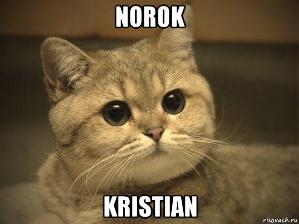 norok kristian, Мем Пидрила ебаная котик