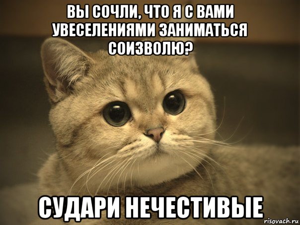 вы сочли, что я с вами увеселениями заниматься соизволю? судари нечестивые, Мем Пидрила ебаная котик