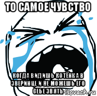 то самое чувство когда видишь котёнка в зверинце и не можешь его себе звять