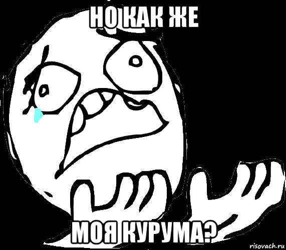 но как же моя курума?