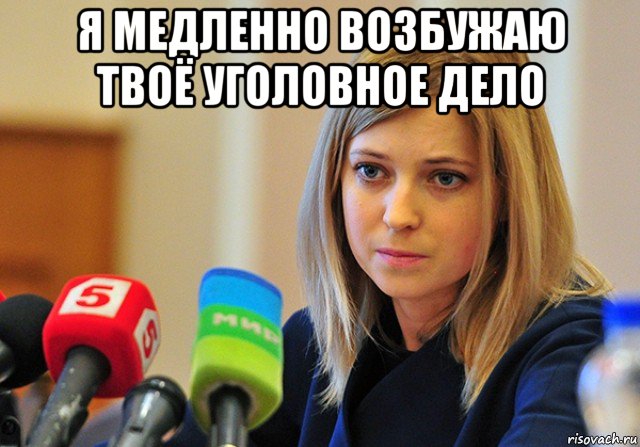 я медленно возбужаю твоё уголовное дело , Мем Поклонская