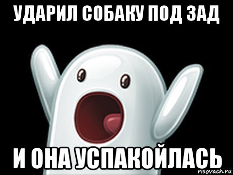 ударил собаку под зад и она успакойлась, Мем  Придуси