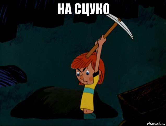 на сцуко 