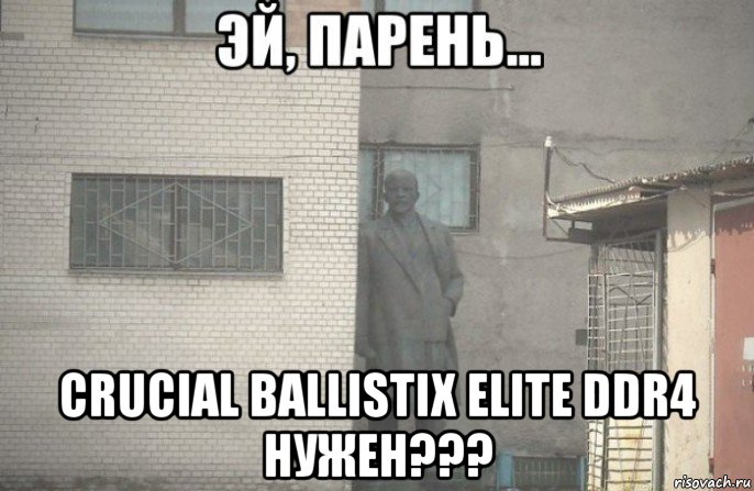  crucial ballistix elite ddr4 нужен???, Мем псс парень