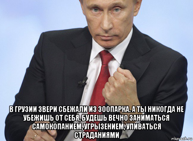  в грузии звери сбежали из зоопарка. а ты никогда не убежишь от себя, будешь вечно заниматься самокопанием, угрызением, упиваться страданиями, Мем Путин показывает кулак