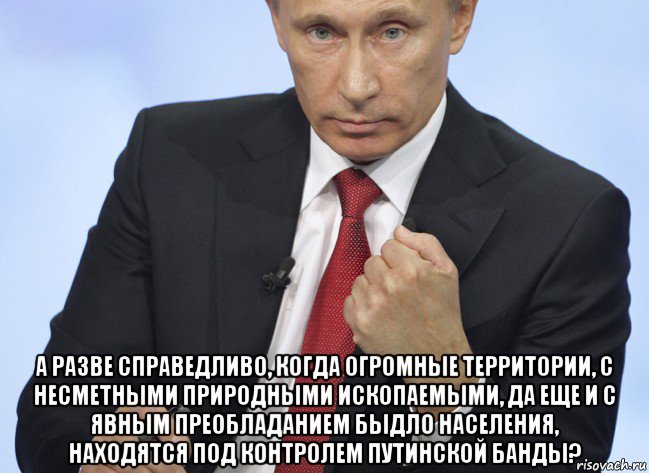  а разве справедливо, когда огромные территории, с несметными природными ископаемыми, да еще и с явным преобладанием быдло населения, находятся под контролем путинской банды?, Мем Путин показывает кулак