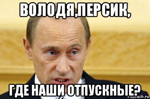 володя,персик, где наши отпускные?, Мем путин