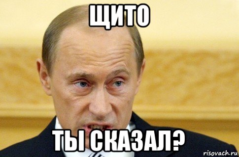 щито ты сказал?, Мем путин