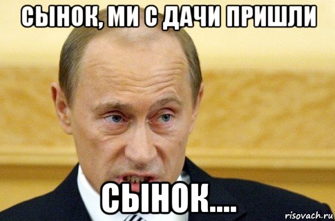 сынок, ми с дачи пришли сынок...., Мем путин