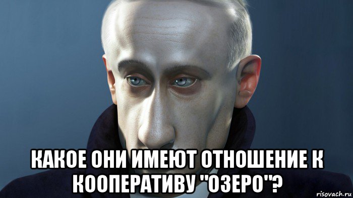  какое они имеют отношение к кооперативу "озеро"?