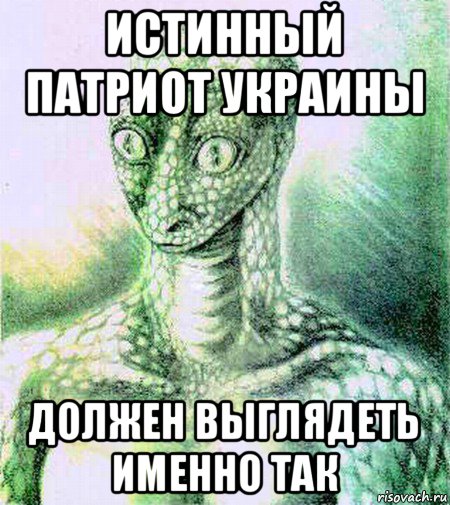 истинный патриот украины должен выглядеть именно так