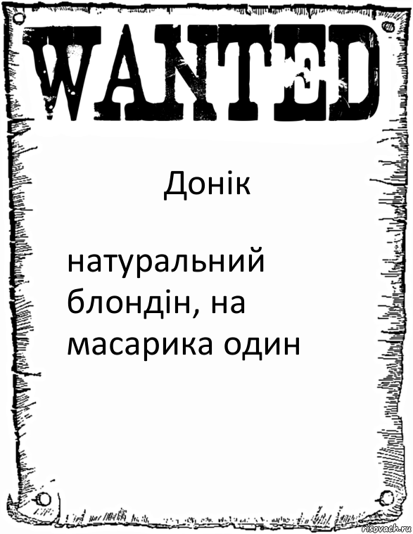 Донік натуральний блондін, на масарика один, Комикс розыск