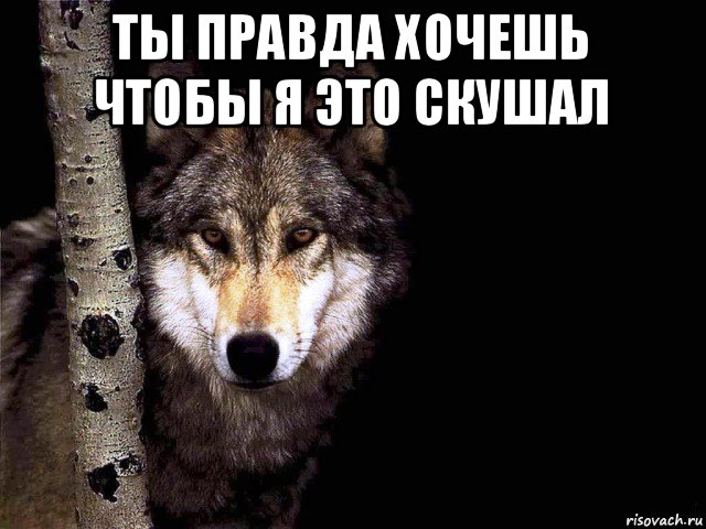 ты правда хочешь чтобы я это скушал , Мем Русские