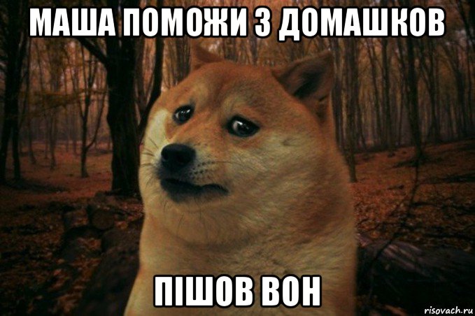 маша поможи з домашков пішов вон, Мем SAD DOGE