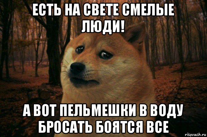 есть на свете смелые люди! а вот пельмешки в воду бросать боятся все, Мем SAD DOGE