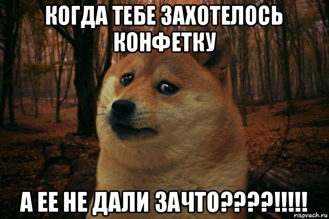 когда тебе захотелось конфетку а ее не дали зачто????!!!!!, Мем SAD DOGE