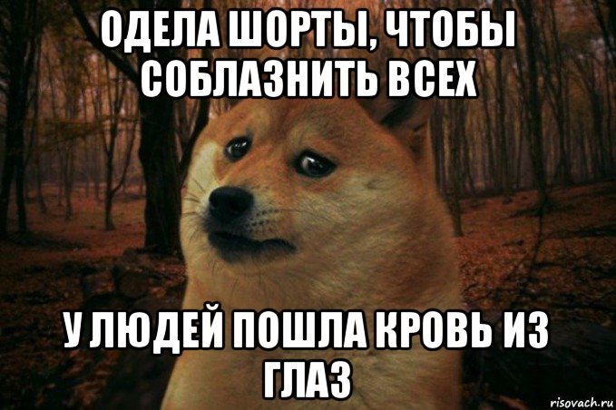 одела шорты, чтобы соблазнить всех у людей пошла кровь из глаз, Мем SAD DOGE