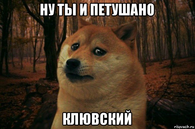 ну ты и петушано клювский, Мем SAD DOGE