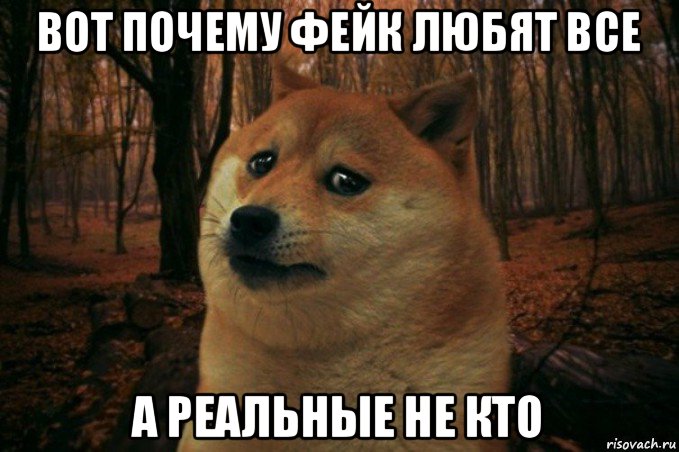 вот почему фейк любят все а реальные не кто, Мем SAD DOGE