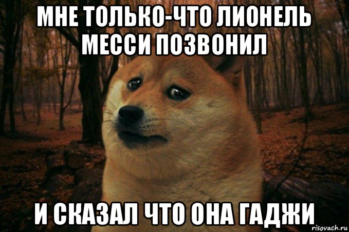 мне только-что лионель месси позвонил и сказал что она гаджи, Мем SAD DOGE