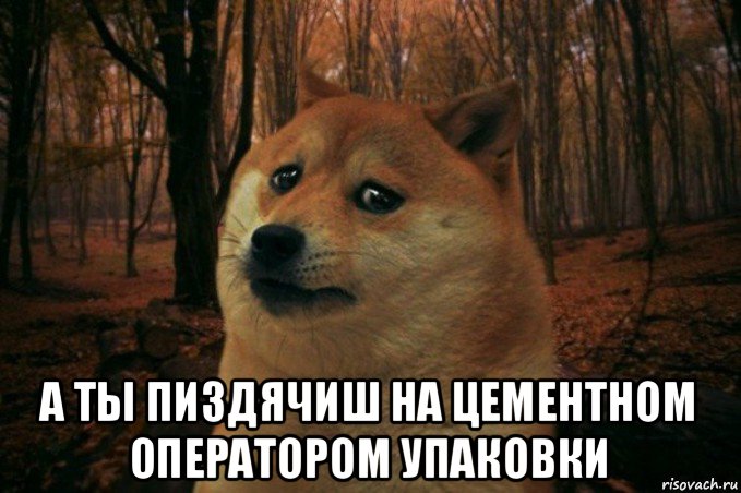  а ты пиздячиш на цементном оператором упаковки, Мем SAD DOGE