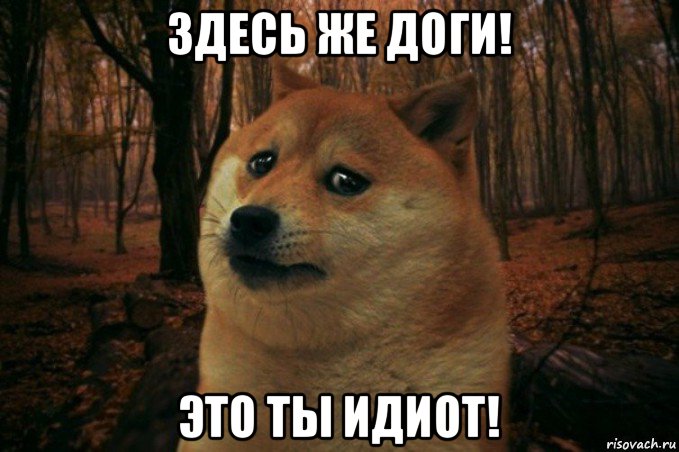 здесь же доги! это ты идиот!, Мем SAD DOGE