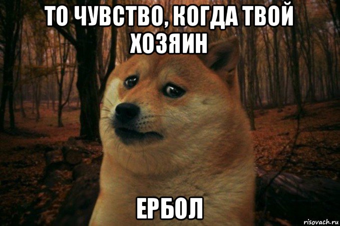 то чувство, когда твой хозяин ербол, Мем SAD DOGE