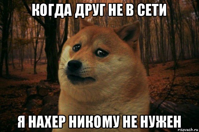 когда друг не в сети я нахер никому не нужен, Мем SAD DOGE