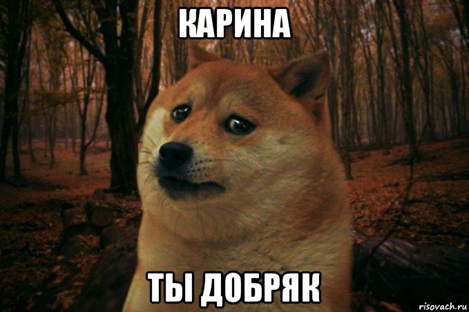 карина ты добряк, Мем SAD DOGE