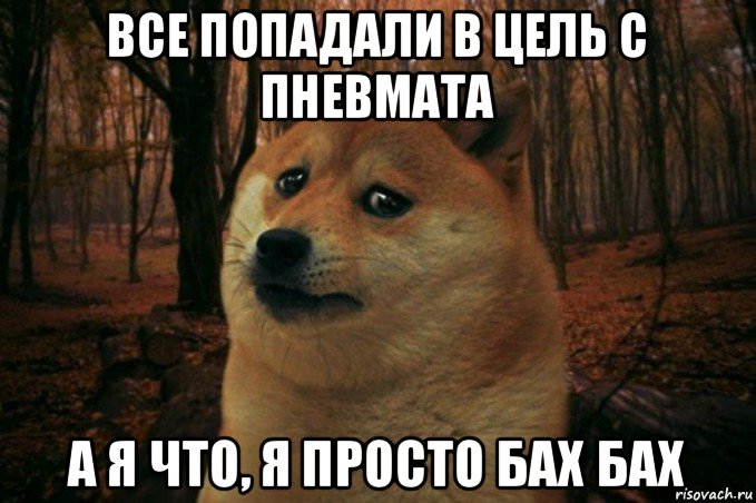 все попадали в цель с пневмата а я что, я просто бах бах, Мем SAD DOGE