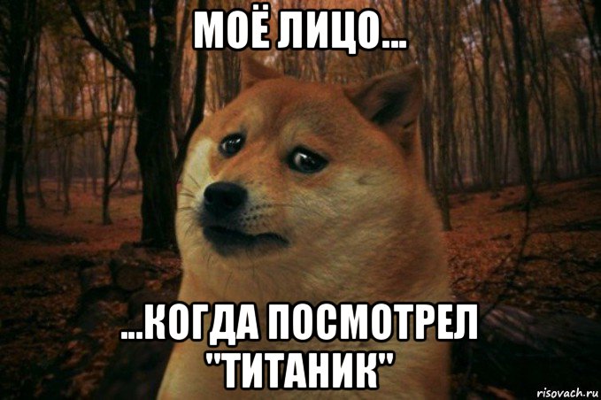 моё лицо... ...когда посмотрел "титаник", Мем SAD DOGE