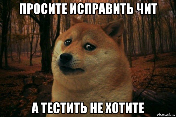 просите исправить чит а тестить не хотите, Мем SAD DOGE