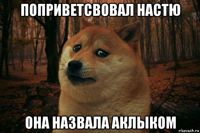 поприветсвовал настю она назвала аклыком, Мем SAD DOGE