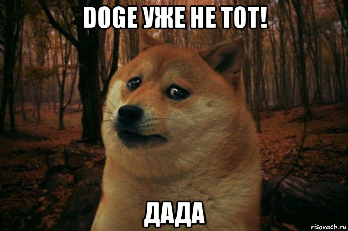 doge уже не тот! дада, Мем SAD DOGE