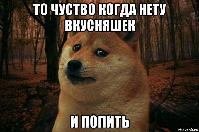 то чуство когда нету вкусняшек и попить, Мем SAD DOGE