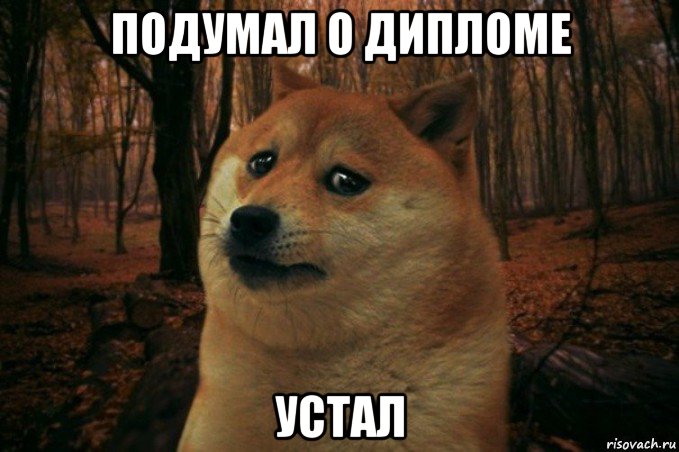 подумал о дипломе устал, Мем SAD DOGE