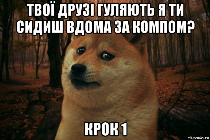 твої друзі гуляють я ти сидиш вдома за компом? крок 1, Мем SAD DOGE