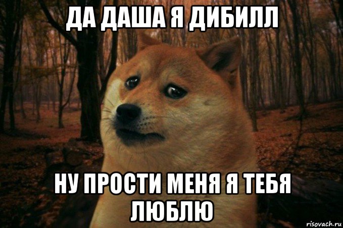 да даша я дибилл ну прости меня я тебя люблю, Мем SAD DOGE