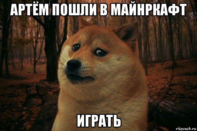 артём пошли в майнркафт играть, Мем SAD DOGE