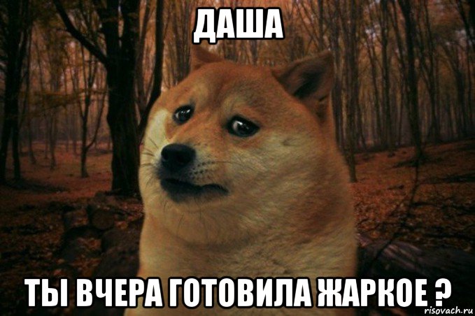 даша ты вчера готовила жаркое ?, Мем SAD DOGE