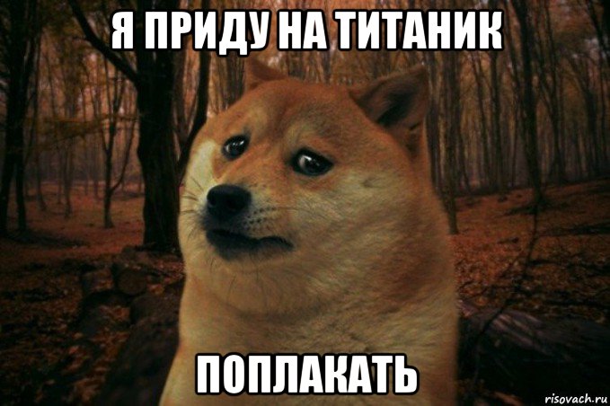 я приду на титаник поплакать, Мем SAD DOGE