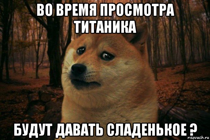 во время просмотра титаника будут давать сладенькое ?, Мем SAD DOGE