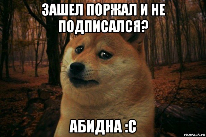 зашел поржал и не подписался? абидна :с, Мем SAD DOGE