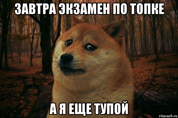 завтра экзамен по топке а я еще тупой, Мем SAD DOGE