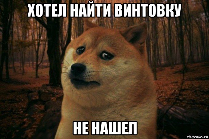 хотел найти винтовку не нашел, Мем SAD DOGE