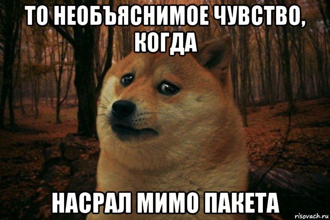 то необъяснимое чувство, когда насрал мимо пакета, Мем SAD DOGE