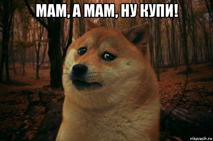 мам, а мам, ну купи! , Мем SAD DOGE