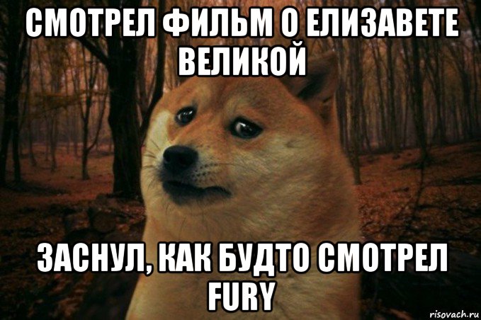 смотрел фильм о елизавете великой заснул, как будто смотрел fury, Мем SAD DOGE