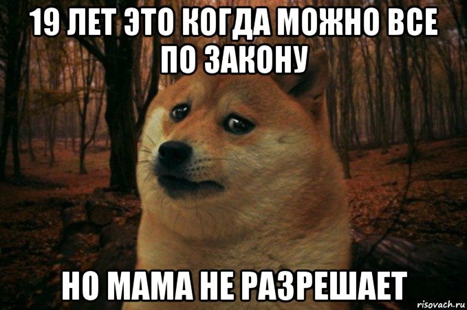 19 лет это когда можно все по закону но мама не разрешает, Мем SAD DOGE